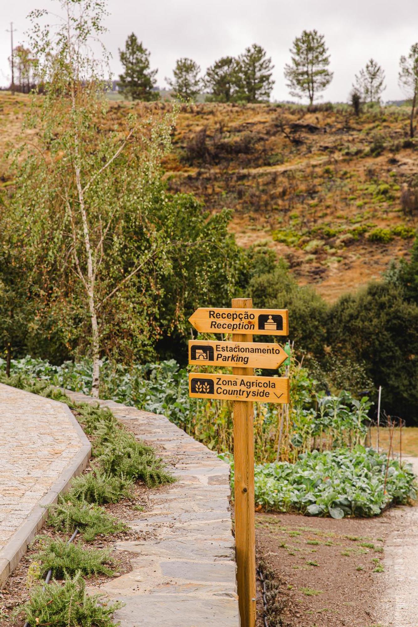 شقة Terrasense Mountain Charm Retreat & Farm Videmonte المظهر الخارجي الصورة